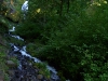 portland2005 074